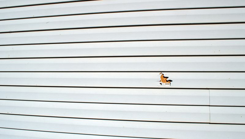 Reinforcing Vinyl Siding